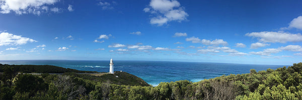 The Lighttower of passing Whales
